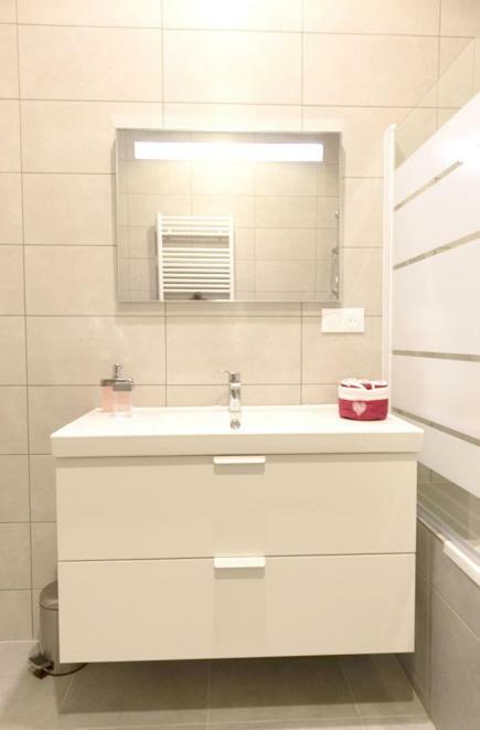 Appartement Grand Standing Vauban 10 Personnes Centre Historique De Колмар Екстериор снимка